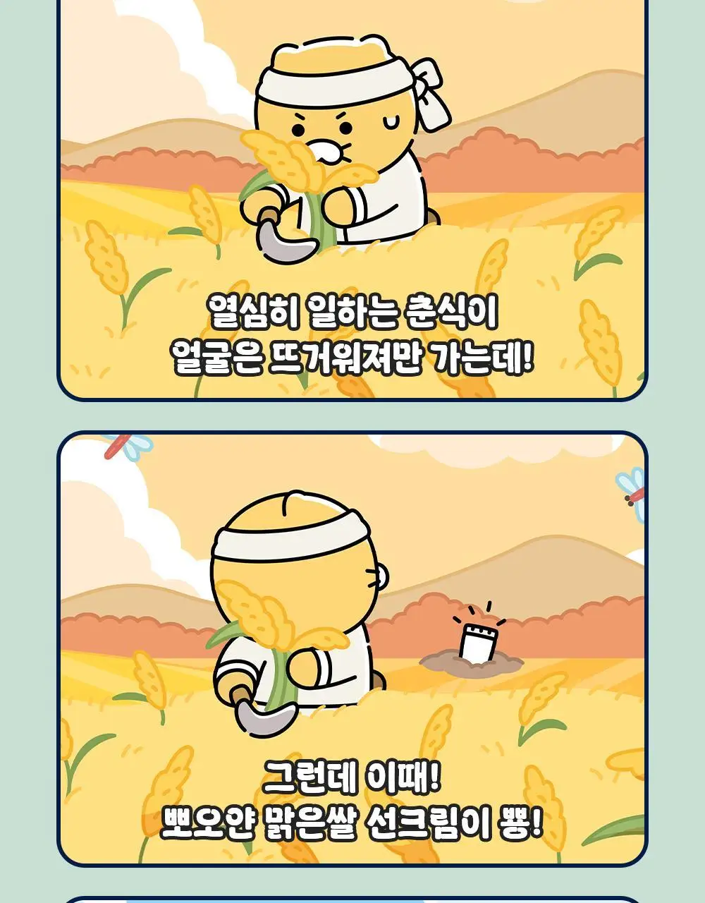 [쿨링진정/농부춘식이키링] 조선미녀 아쿠아프레쉬 선크림 50ml+20ml 증정 기획 상세페이지 3